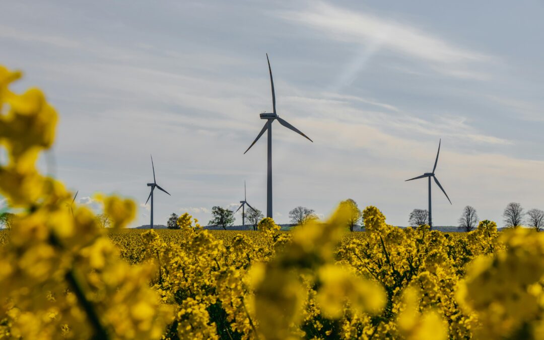 How Neighbours Are Beating Rising Bills (and Winning for the Planet)