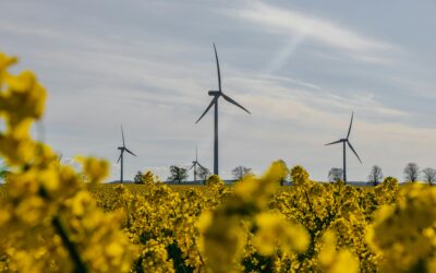 How Neighbours Are Beating Rising Bills (and Winning for the Planet)