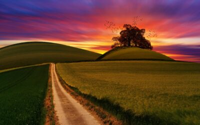 England’s New Environmental Improvement Plan Sets a Clear Path for Cleaner, Greener Communities